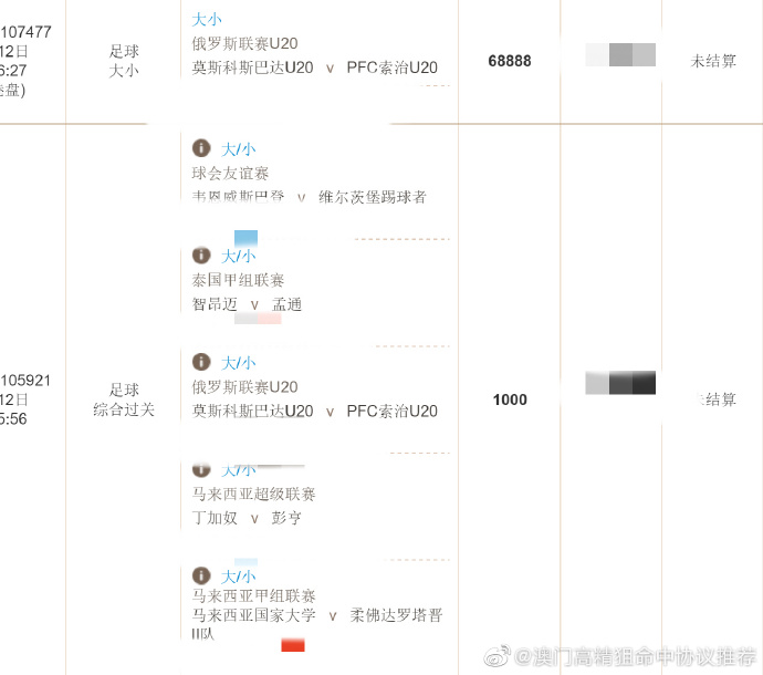 王中王精准资料期期中澳门高手,深入数据设计策略_户外版47.377