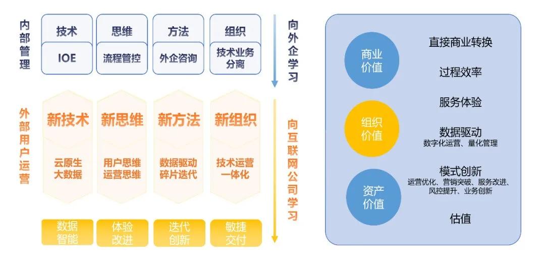 王中王三组三中三,实地执行数据分析_策略版73.47